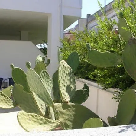 Pizzicati Oda ve Kahvaltı *