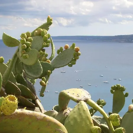 Pizzicati Oda ve Kahvaltı