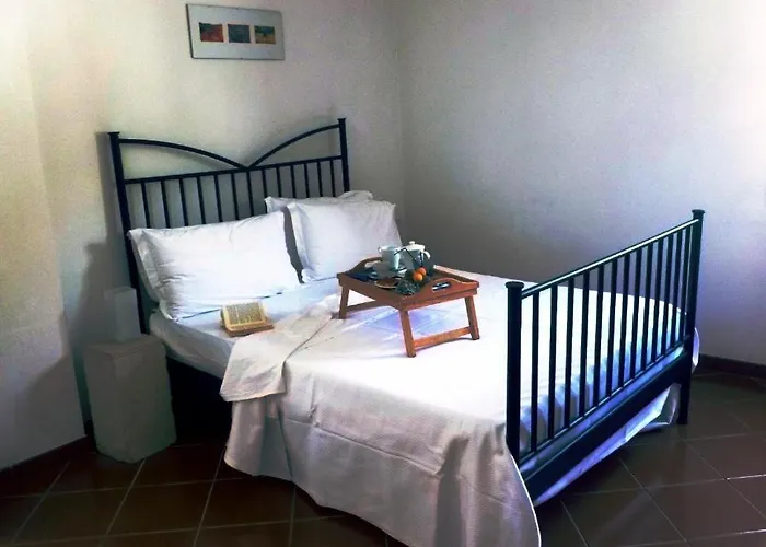 Pizzicati * أودجانو لا كييزا