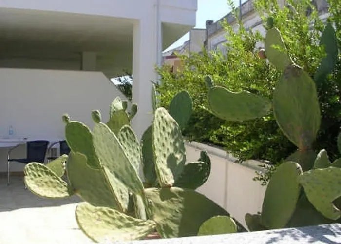 Pizzicati 住宿加早餐酒店 *