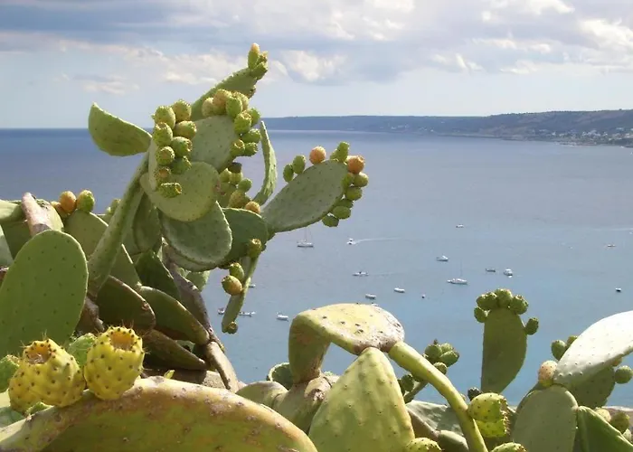 Pizzicati 住宿加早餐酒店